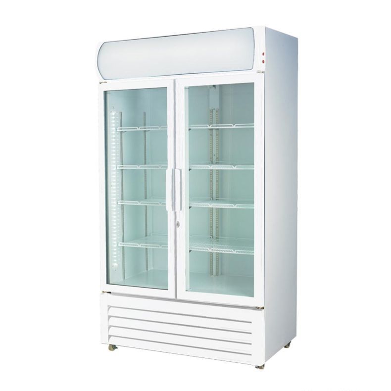 Large Two Glass Door Colourbond Upright Drink Fridge (LG-1200GE)