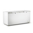 Thermaster BD600F — Main product image