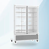 AMING standardized product image - Thermaster Colourbond Upright Beverage Fridge 2 Doors White LG-1000P