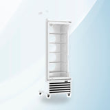 AMING standardized product image - Thermaster Single Glass Door Black Colourbond Upright Drink Fridge - LG-540BP