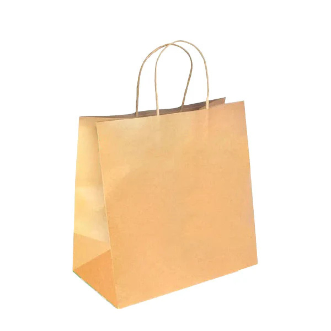 PakMax Large Twist Handle Kraft Paper Bags (RPRR-120-L) — Carton of 300