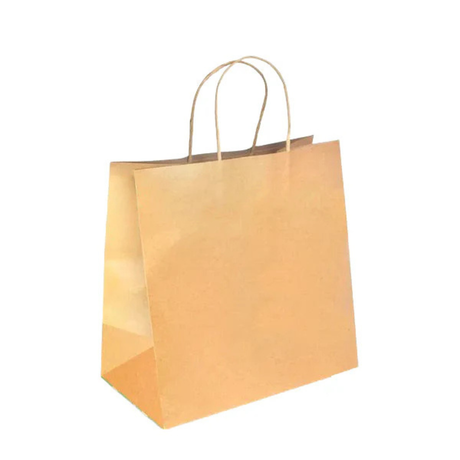PakMax Large Twist Handle Kraft Paper Bags (RPRR-120-L) — Carton of 300